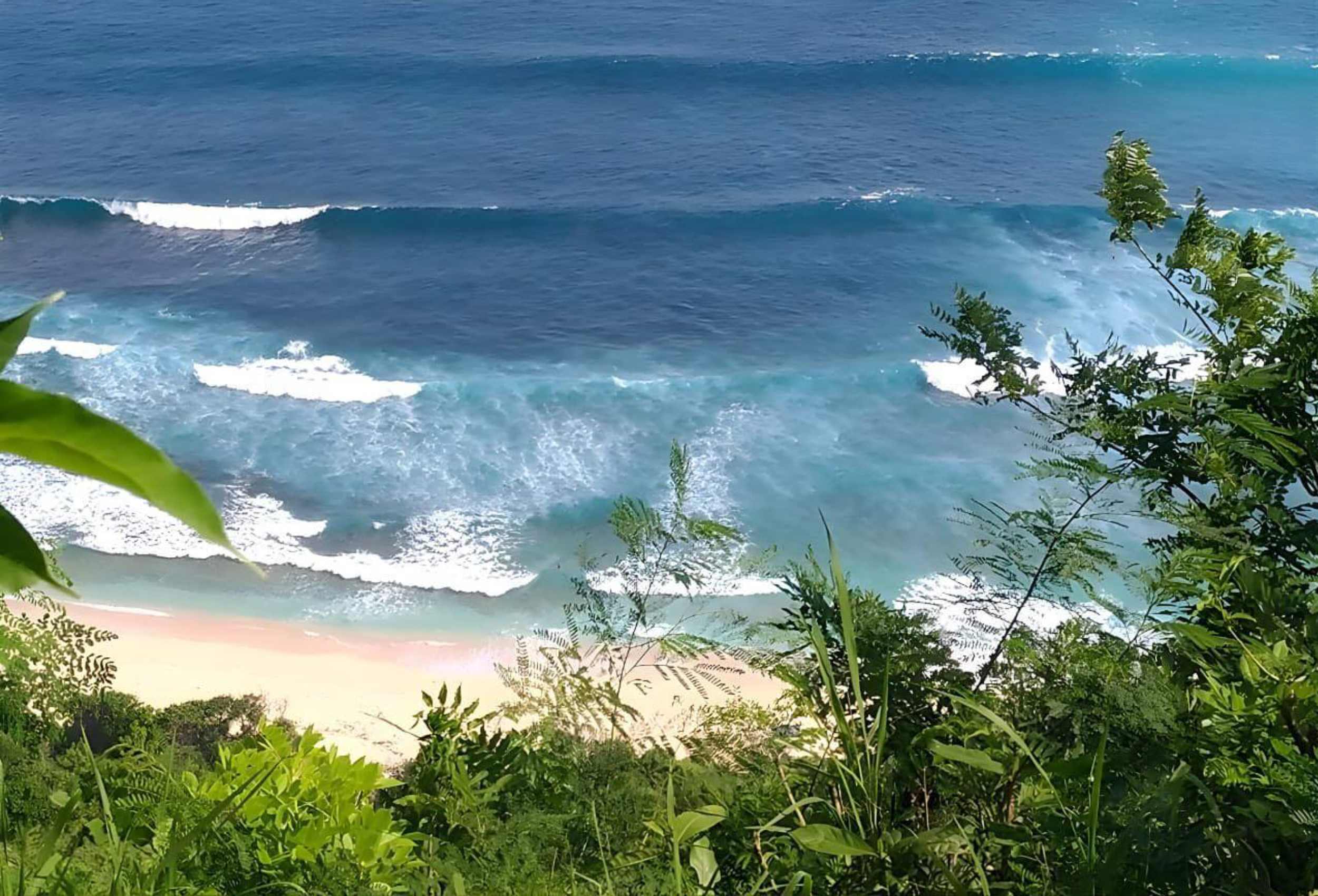 amazing land for lease 1